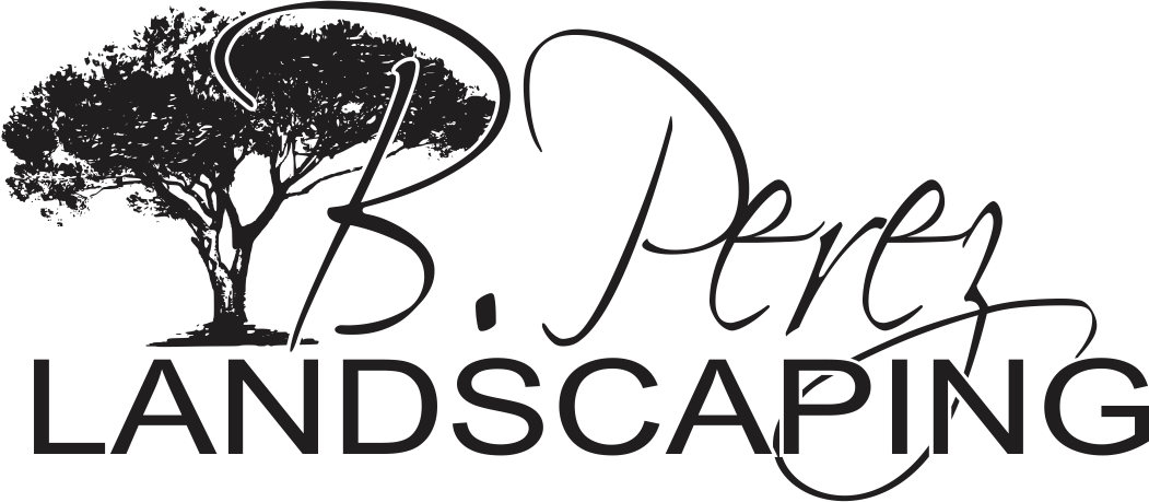 B. Pérez Landscaping LLC